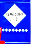 块块经济学:中国地方政府经济行为分析