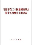 习近平在二十国集团领导人第十五次峰会上的讲话