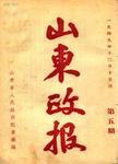 立足经济发展  实施旧村改造——枣庄市山亭区城头镇实施旧村改造试点调查