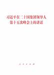 习近平在二十国集团领导人第十五次峰会上的讲话