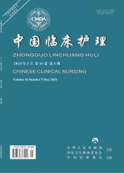 《中国临床护理》