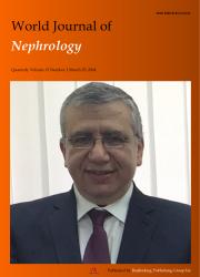 《World Journal of Nephrology》