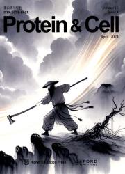 《Protein & Cell》