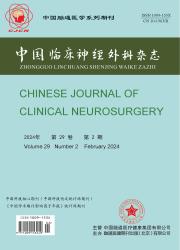 《中国临床神经外科杂志》