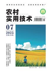 《农村实用技术》