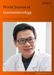 《World Journal of Gastroenterology》