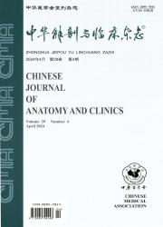 《中华解剖与临床杂志》