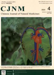 《Chinese Journal of Natural Medicines》