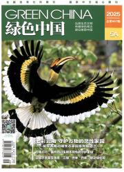 《绿色中国》