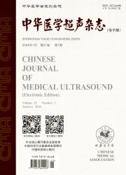 《中华医学超声杂志（电子版）》
