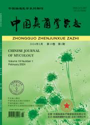 《中国真菌学杂志》