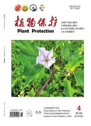 《植物保护》