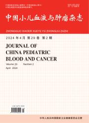 《中国小儿血液与肿瘤杂志》