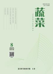 《蔬菜》