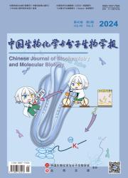 《中国生物化学与分子生物学报》