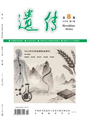 《遗传》