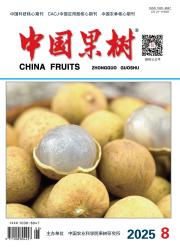 《中国果树》