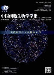 《中国细胞生物学学报》
