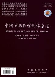 《中国临床医学影像杂志》
