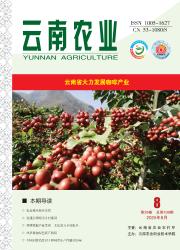 《云南农业》