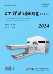《CT理论与应用研究（中英文）》