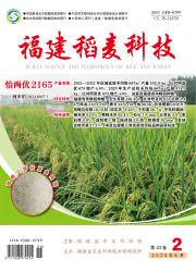 《福建稻麦科技》