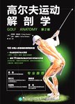 高尔夫运动解剖学