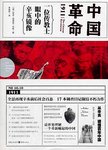 中国革命1911 : 一位传教士眼中的辛亥镜像
