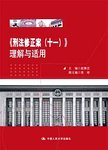《刑法修正案 (十一)》理解与适用