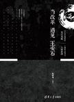 当改革遇见王安石