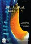 BIOLOGICAL BULLETIN