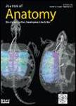 Journal of Anatomy