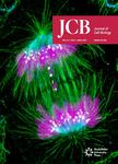 JOURNAL OF CELL BIOLOGY