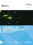 JOURNAL OF ENDOCRINOLOGY