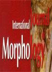 INTERNATIONAL JOURNAL OF MORPHOLOGY