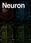 Neuron