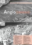 Angiogenesis