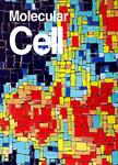 MOLECULAR CELL