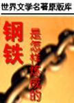 钢铁是怎样炼成的