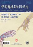 中国临床解剖学杂志