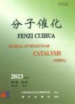 分子催化（中英文）