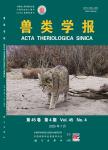 兽类学报